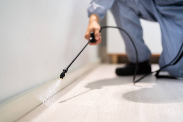Licensed Termite Control service in Vanderburgh County County, IN - Nex Pest Control