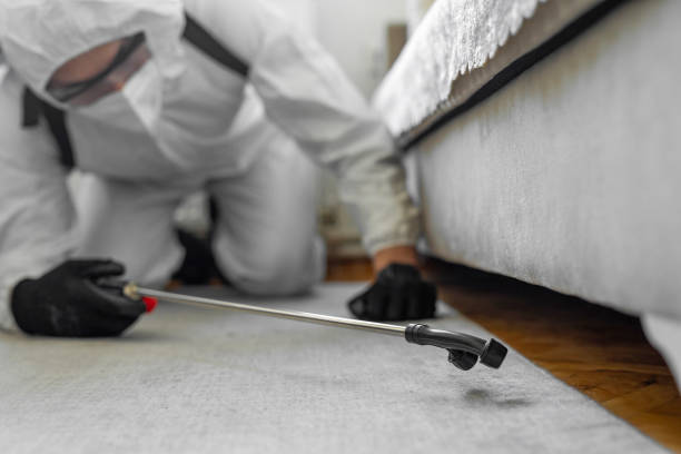 Professional Termite Control technician working in Vanderburgh County County, IN